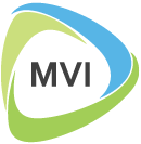 MVI Systems Ltd